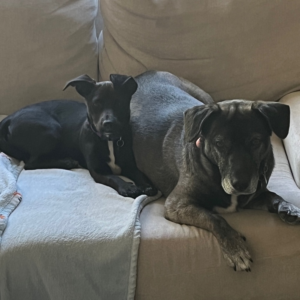 Currently obsessed with beaded bags and unique charms.